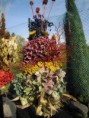 /album/vazane-susene-kytice/img-3912-jpg1/