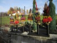 /album/vazane-susene-kytice/img-3915-jpg1/