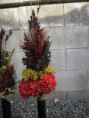 /album/vazane-susene-kytice/img-3917-jpg1/